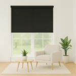 پرده شید‌رول دور یک غلطک جمع می‌شود. این پرده با لایه pvc پوشش داده می‌شود تا در استفاده مستمر و در معرض گرما و نور مستقیم کیفیت خود را حفظ نماید. این پرده محبوب‌ترین و کاربردی‌ترین پرده در دکوراسیون‌های مینیمال و مدرن می‌باشد. شید به خوبی جلوی نور آفتاب را می‌گیرد و نور محدودی از آن عبور می‌کند تا شما از روشنایی نور روز در خانه بهره مند شوید. استهلاک پرده شید رول بستگی به کیفیت پارچه و قطعات آن دارد. استفاده از شید رول به همراه حریر مناسب دکوراسیون ساده و فضا های مینیمال می باشد. این پرده مدرن خانه شما را از زیر پرده ای بی نیاز می کند و مانع از شلوغ شدن دکوراسیون منزل یا محیط کار شما می شود. امکان تجهیز این پرده ها به موتور با ریموت کنترل یا موتور متصل به خانه هوشمند نیز وجود دارد.